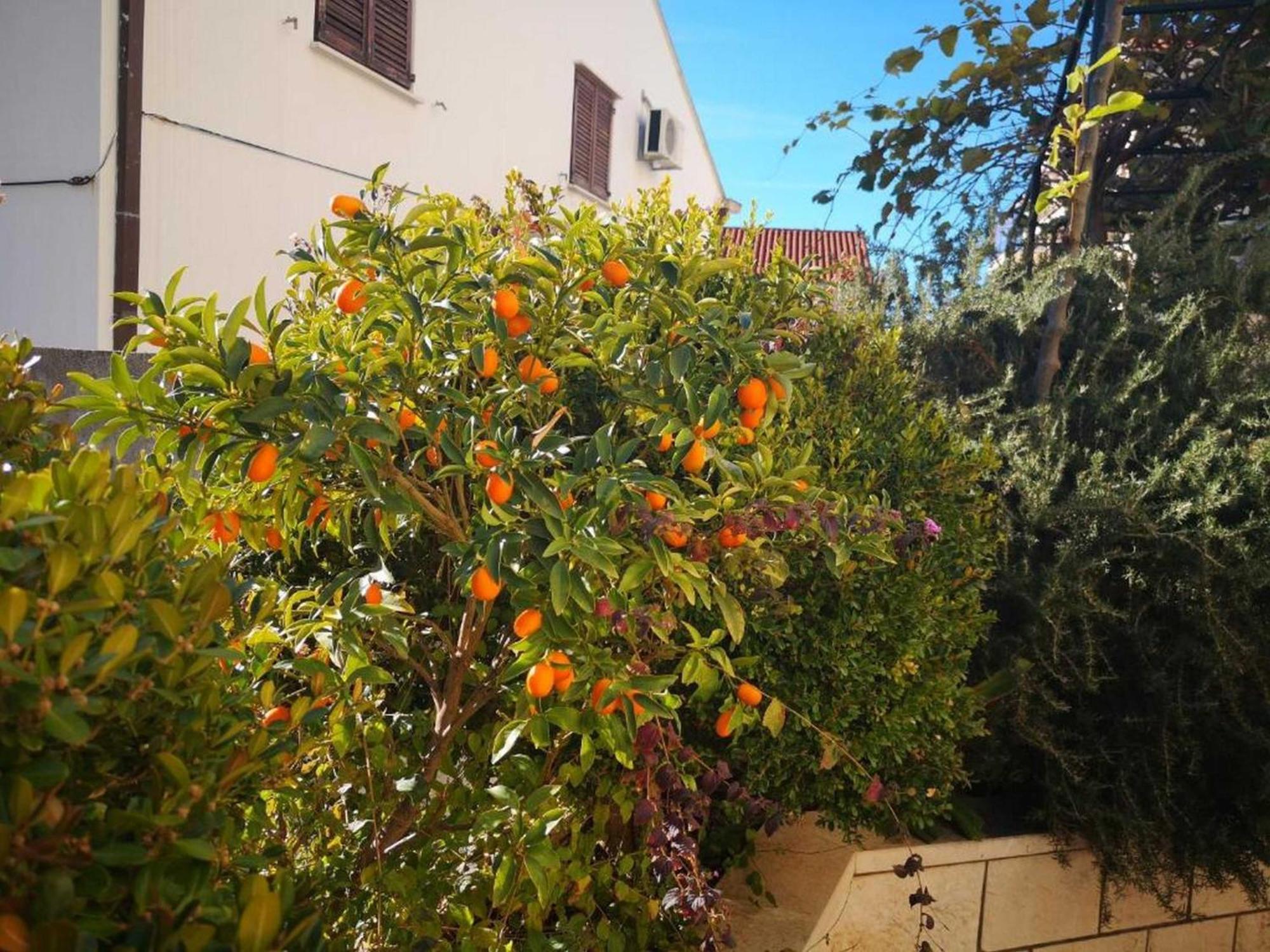 City Apartments Lani Dubrovnik Bagian luar foto